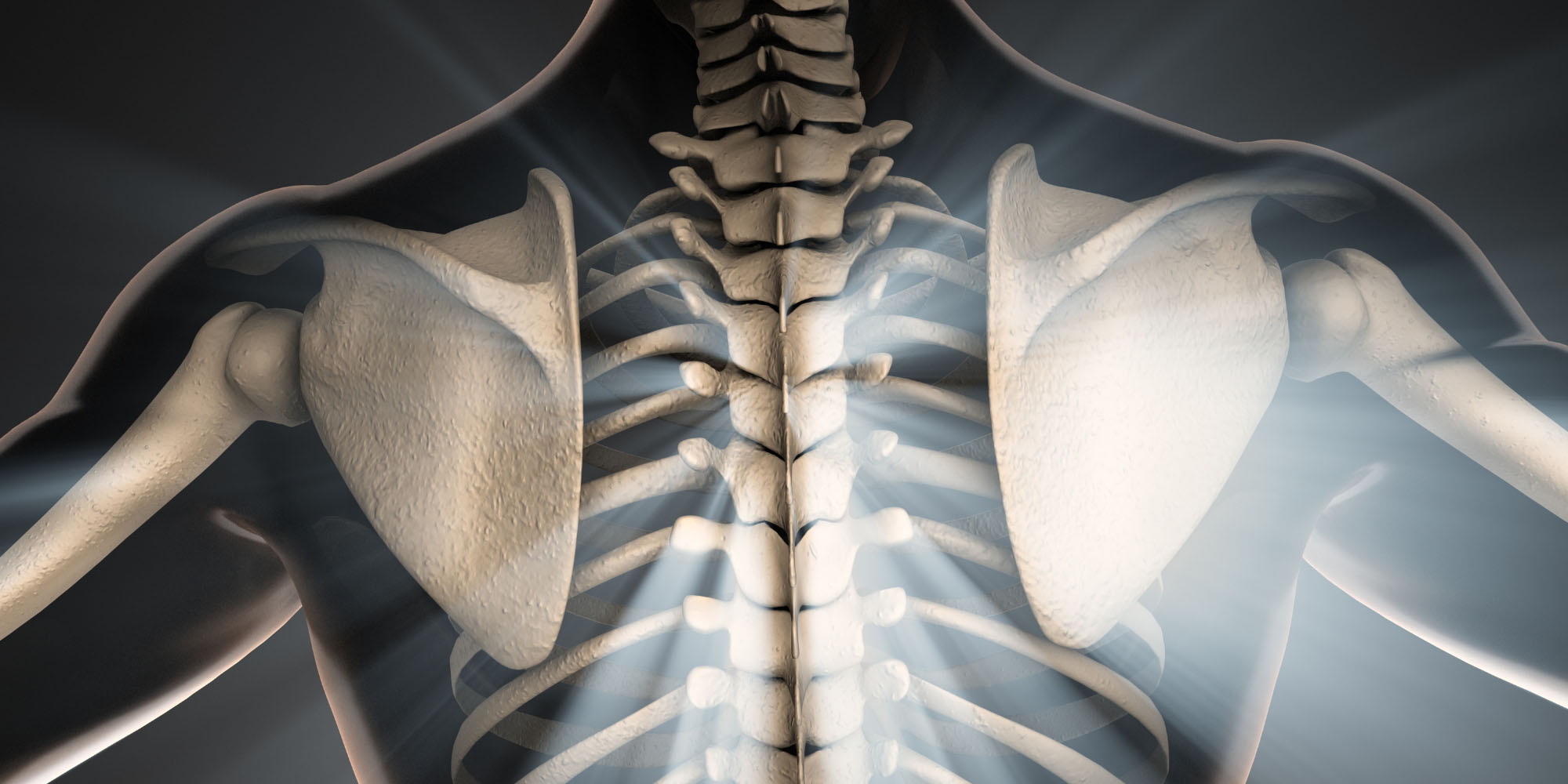 A Bone Health Exposé for World Osteoporosis Day